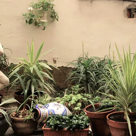 Bypillow Irala 毕尔巴鄂